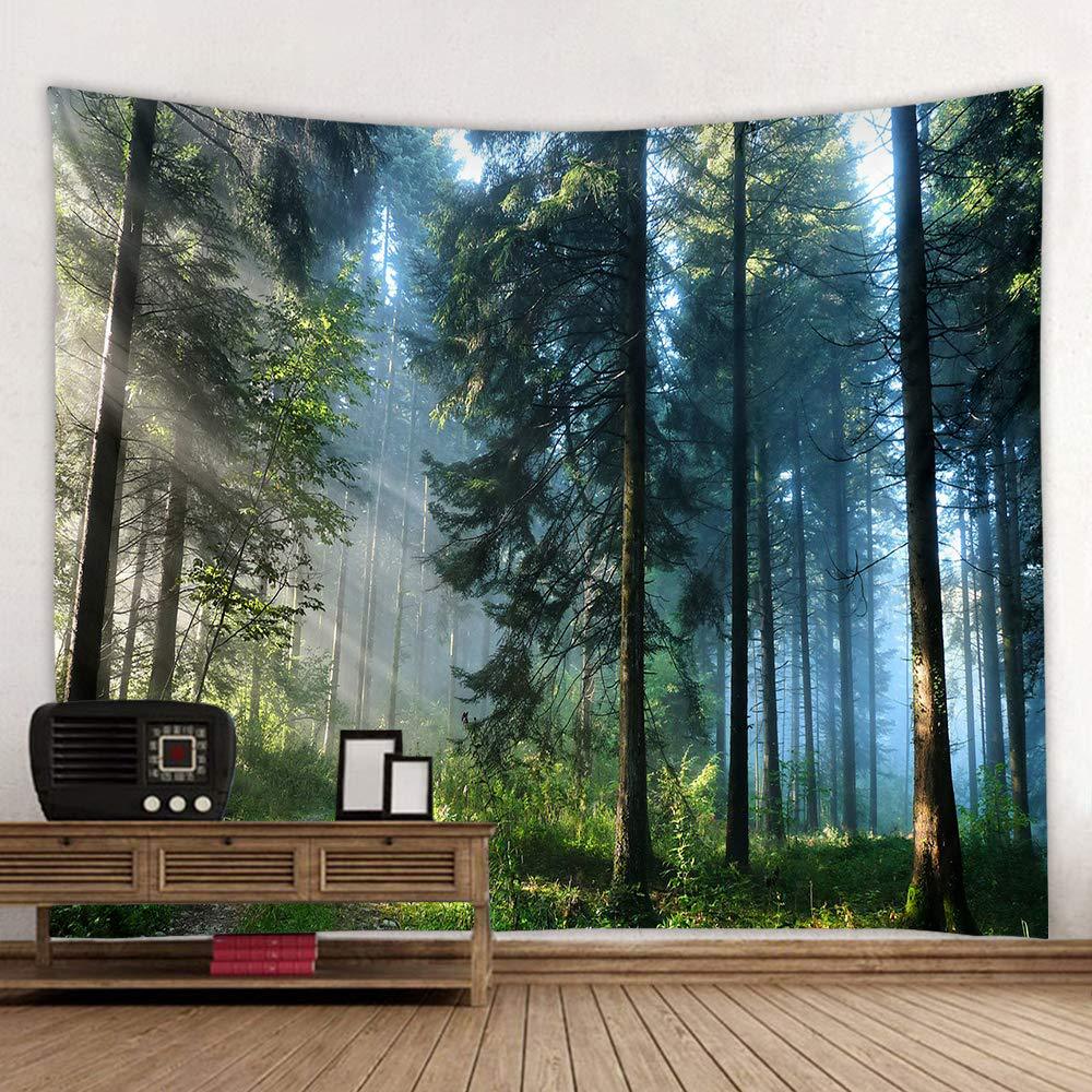 VIKAMA Outdoor Adventure Natur - Outdoor Adventure Background review and price