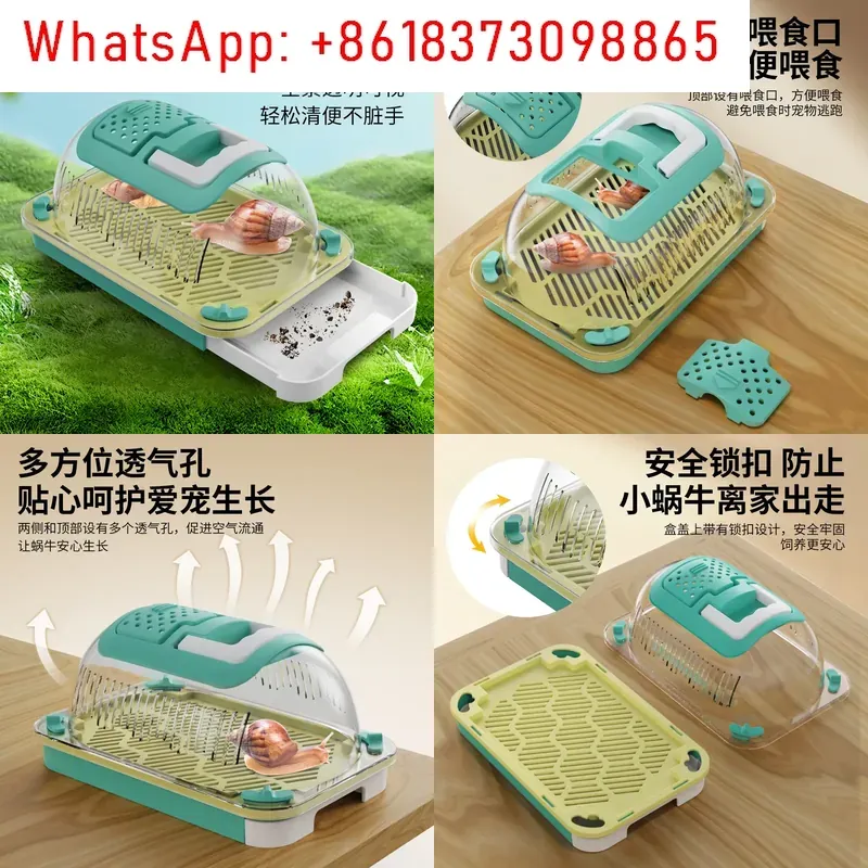 1pcs Outdoor Adventure Insect  - Outdoor Adventure Experiences review and price
