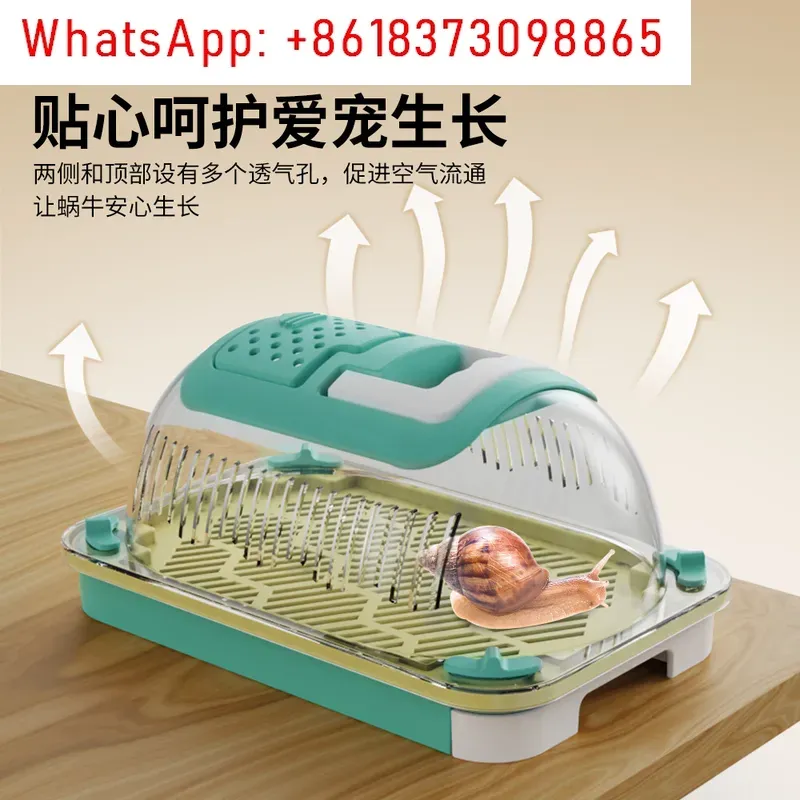 1pcs Outdoor Adventure Insect  - Outdoor Adventure Experiences review and price